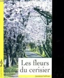 Les fleurs du cerisier